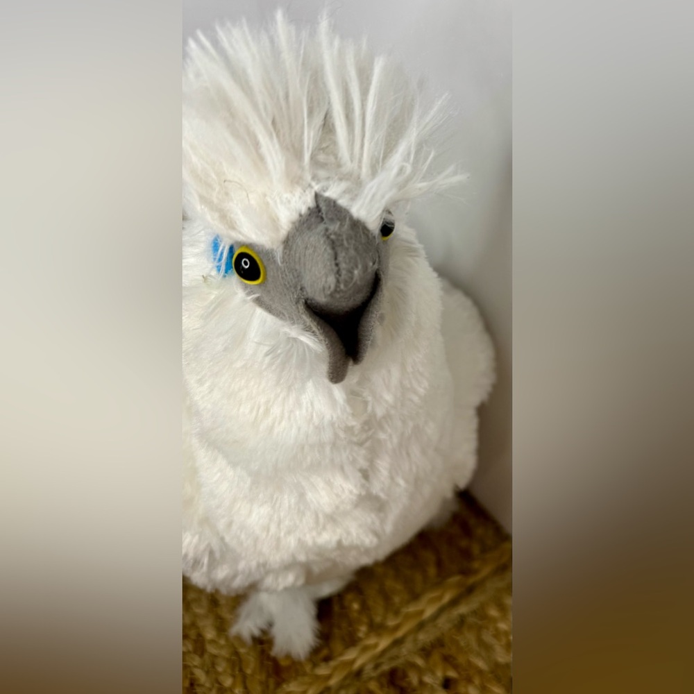 🐓Plush Puffie the Silky Stuffed Collectible Toy🐓
